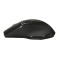 Мышь Evo Wireless Optical Mouse (21241)