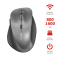 Беспроводная мышь Ravan Wireless Mouse
