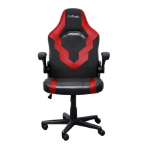 Геймерське крісло Trust GXT 703R RIYE