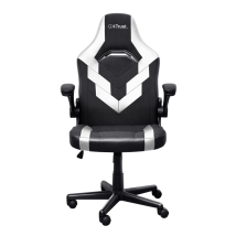 Геймерське крісло Trust GXT 703W RIYE