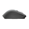 Беспроводная оптическая мышь Trust Ozaa Rechargeable Wireless Mouse - black