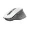 Беспроводная мышь Trust Ozaa Rechargeable Wireless Mouse(24035)